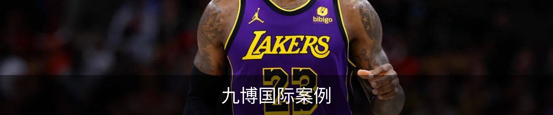 九博国际案例